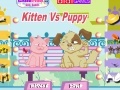 Gra Kitten Vs Puppy