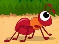 Gra Hurry Up Ant