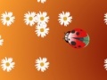 Gra Ladybug and flower