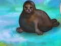 Gra My Dear Seal