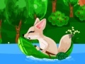 Gra Fox on a River