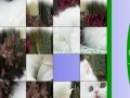 Gra Sweet White Cat Slide Puzzle