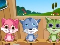Gra Pet Care game