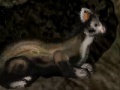 Gra Funny Ferret
