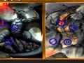 Gra Dragon Similarities Game