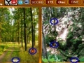 Gra Forest Similarities Game