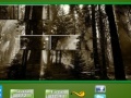 Gra Puzzle Craze Dark Forest