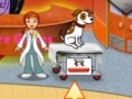 Gra Dr. Daisy Pet Vet