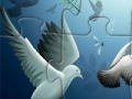 Gra Pigeons Puzzle