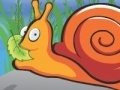 Gra Hungry Snail