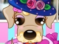 Gra Puppy Stylist