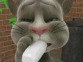 Gra Talking Tom Cat