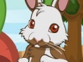 Gra Pet bunny