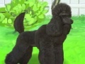 Gra Pretty poodle