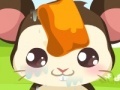 Gra Hamster care