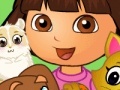Gra Dora pets care