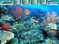 Gra Underwater World G2R
