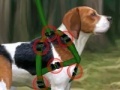 Gra Beagle training