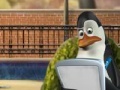 Gra The penguins of Madagascar - Gull Grabber