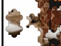 Gra beautiful Cat jigsaw puzzle