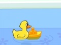 Gra Duck in a small pool