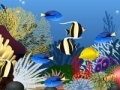 Gra Fish tank decoration