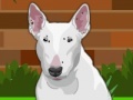 Gra Dress up Bull Terrier Dog