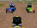 Gra Lawnmower Racing 3D
