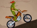 Gra Ninja Turtle Stunts
