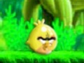 Gra Little Angry Bird's Adventrue