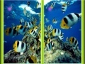 Gra Underwater Similarities