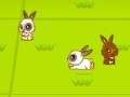 Gra Rabbit Tycoon
