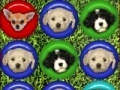 Gra Cute puppy match