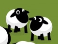 Gra Sheep terminate