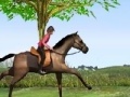 Gra Horse Jumping