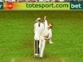 Gra Cricket 3d