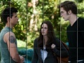 Gra The Twilight Saga