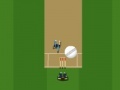 Gra Cricket Master Blaster