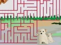Gra Maze Game Play 39