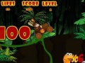Gra Donkey Kong race
