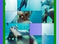 Gra Ocean and seals slide puzzle
