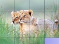 Gra Cute brothers slide puzzle