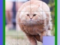 Gra Fat Cat Slide Puzzle
