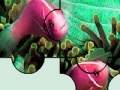 Gra Colorful sea fishes puzzle
