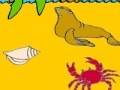 Gra Seal in the beach coloring