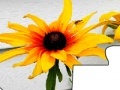 Gra Jigsaw: Yellow Flower 2