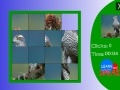 Gra Japanese Sparrowhawk slide puzzle
