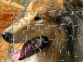Gra Pet Puzzles: Dogs