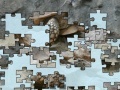 Gra Turtle puzzle
