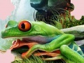 Gra Puzzle Frog